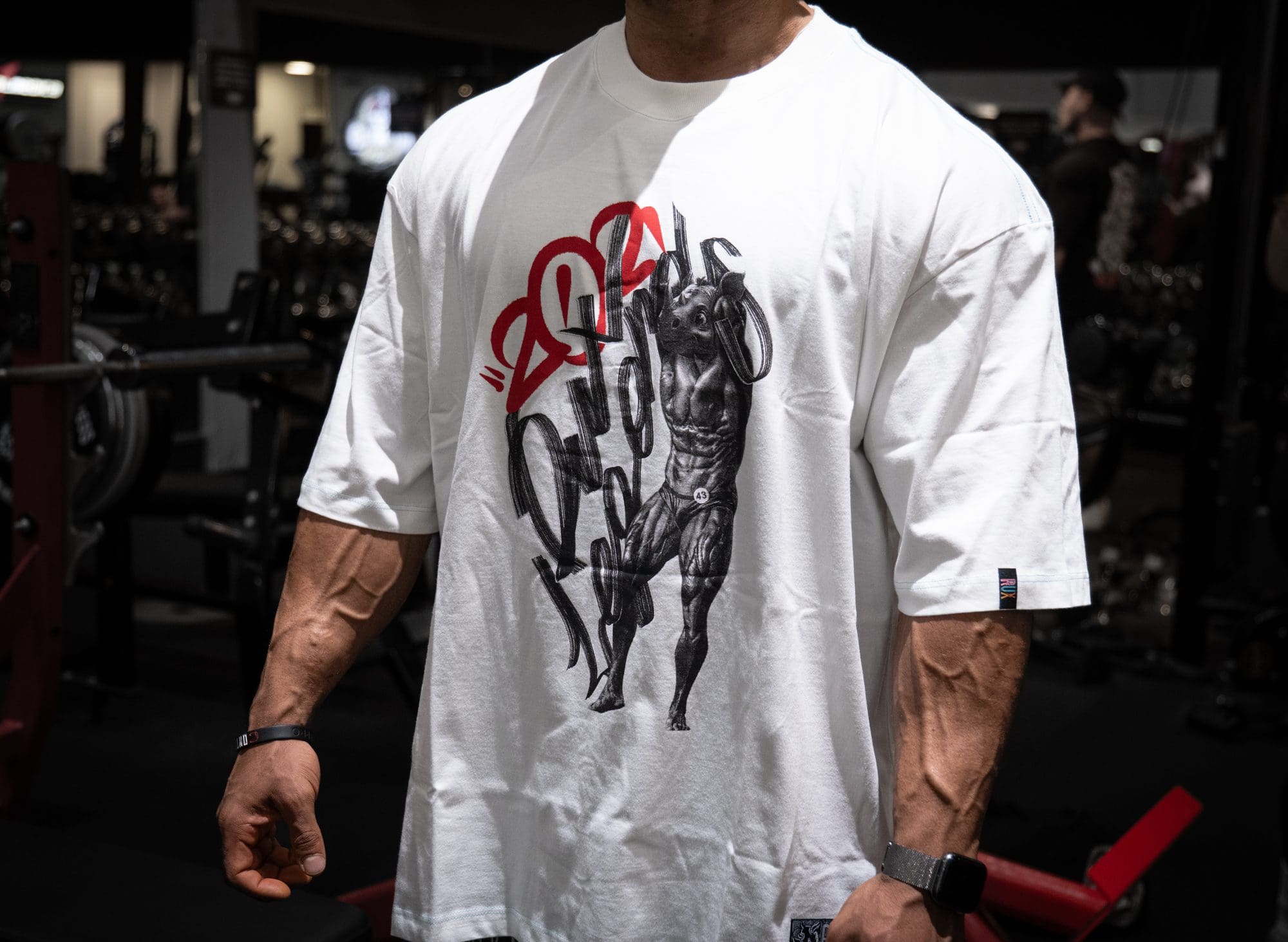 Oversized Cibã (OFF WHITE) - Imagem 3